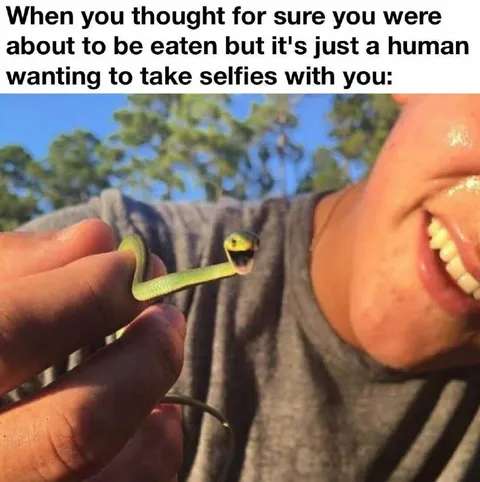 Snake Wants a Selfie