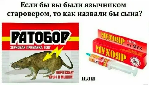 Как назвали бы сына-язычника