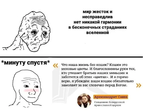 Кошки — мексиканские цветы