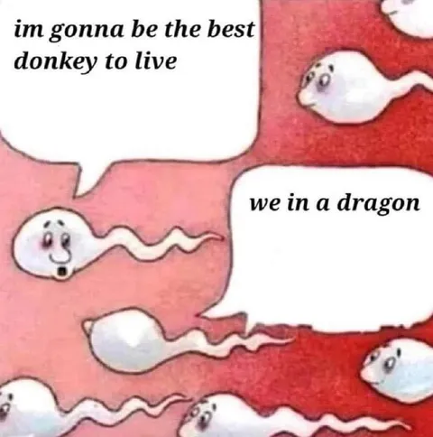 Best Donkey to Live