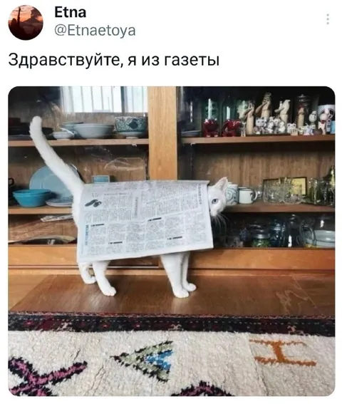 Здравствуйте, я из газеты
