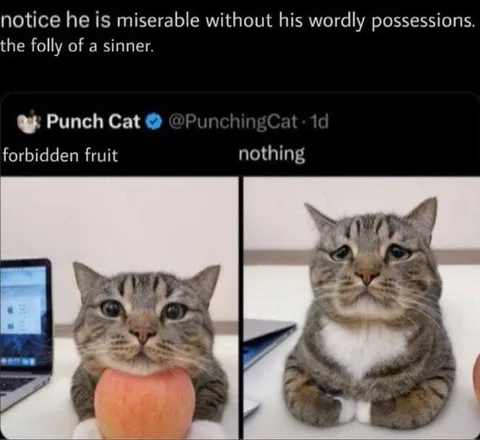 Forbidden Fruit Makes Cat Miserable