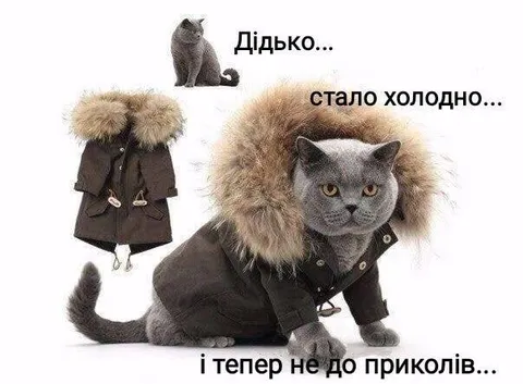 Коли стало холодно