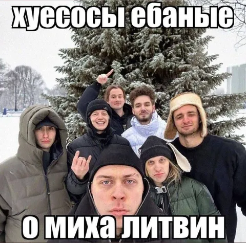 Хуйсосы ебаные о Михае Литвине