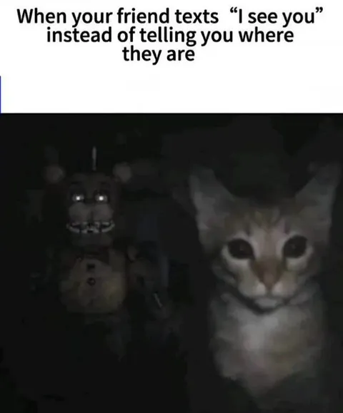 I See You in the Dark