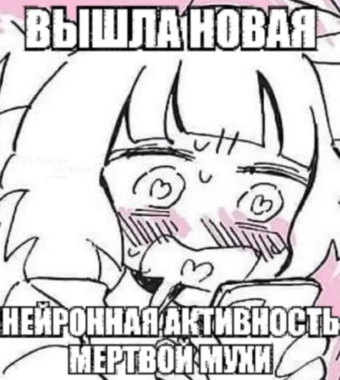 Вышла новая нейронная активность