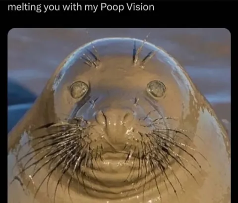 Seal Poop Vision