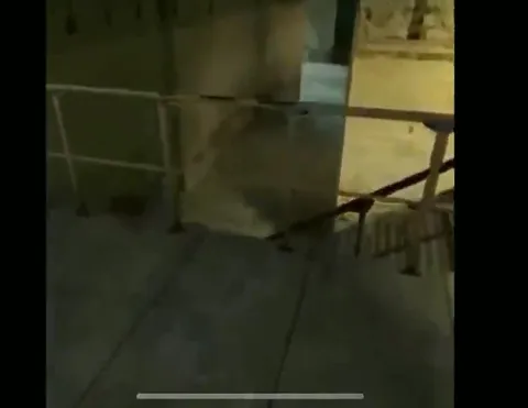 Woman Jumps Into the Credits