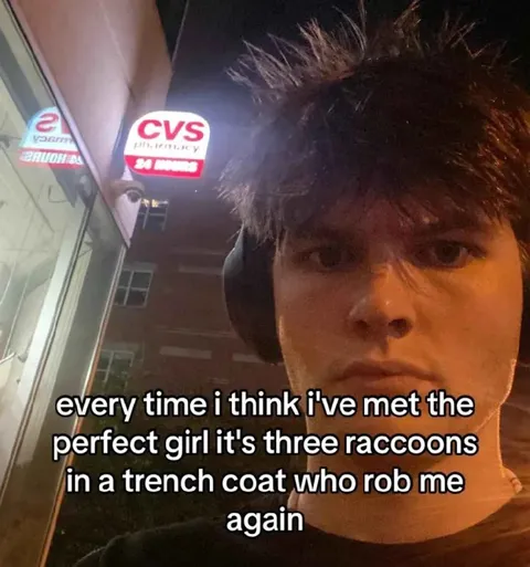 Perfect Girl Is Three Raccoons