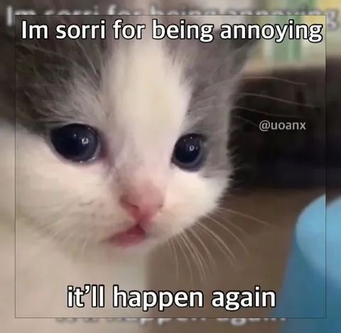 Sorry for Being Annoying Again