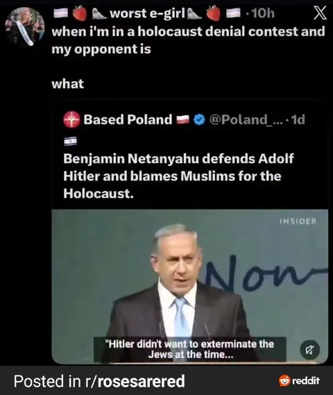Holocaust Denial Contest Opponent