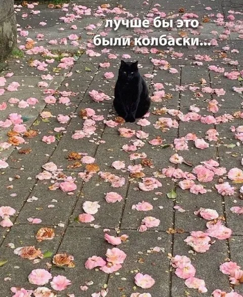 Лучше бы это были колбаски