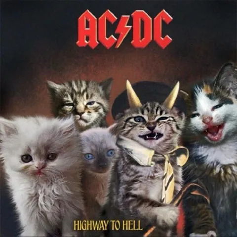 Kittens Highway to Hell