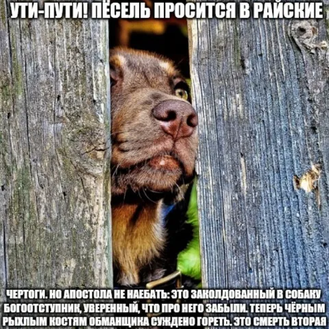 Пёсель просится в райские чертоги