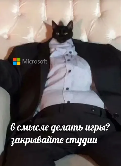 Кот в костюме закрывает студию