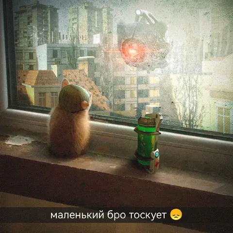 маленький бро тоскует