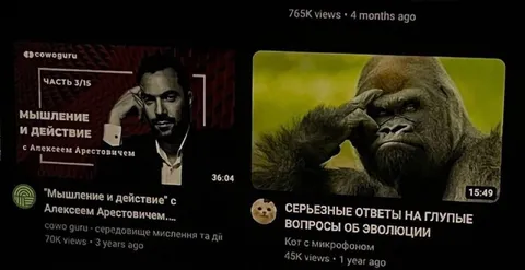 Серьёзные ответы на глупые вопросы