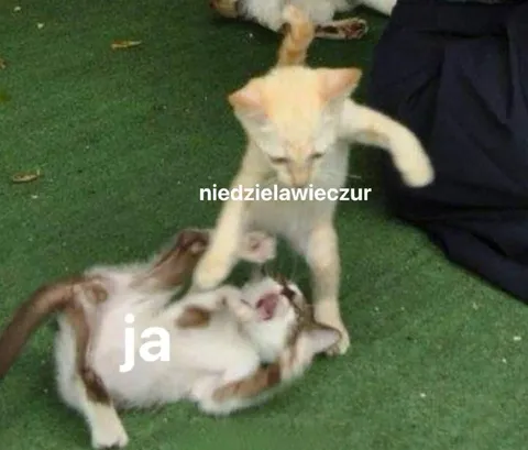 Niedzielawieczur i ja
