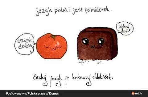 Polski pomidorek i czeski chlebíček
