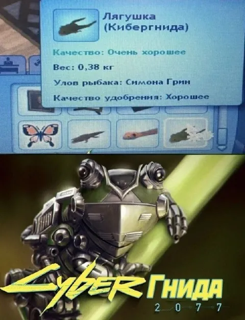 Лягушка Кибернида 2077