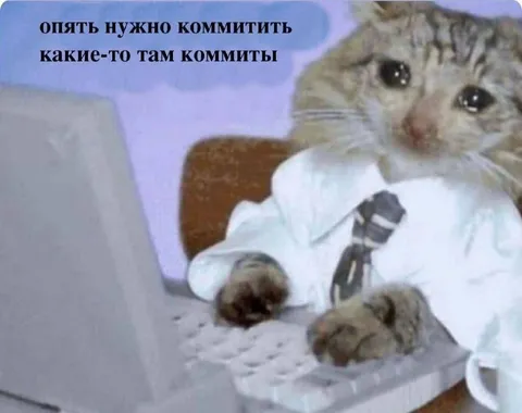 Кот снова коммитит изменения