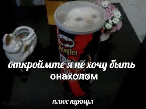 Не хочу быть находлом