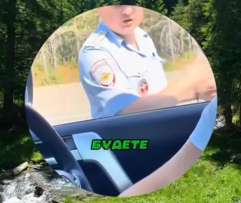 Покажи, что удалил