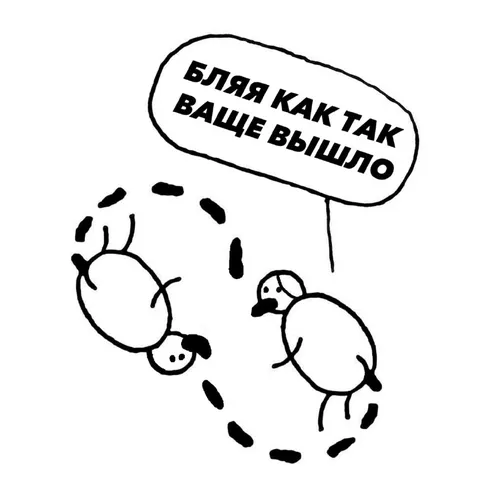 Бля как так вообще вышло