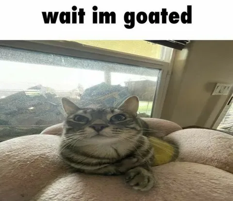 Wait I'm Goated Cat