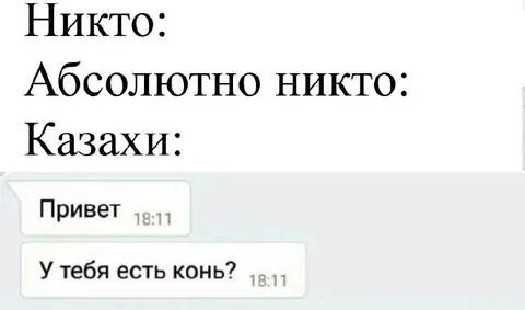 Казахи сразу спрашивают про коня