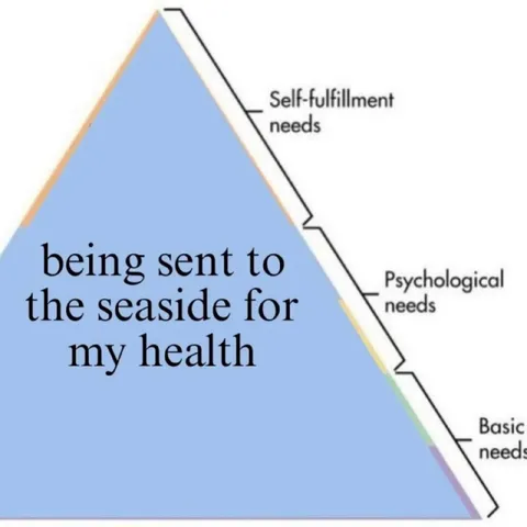 Seaside Health Needs Pyramid