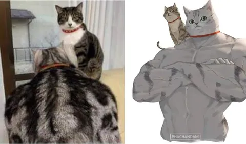 Кот стал качком