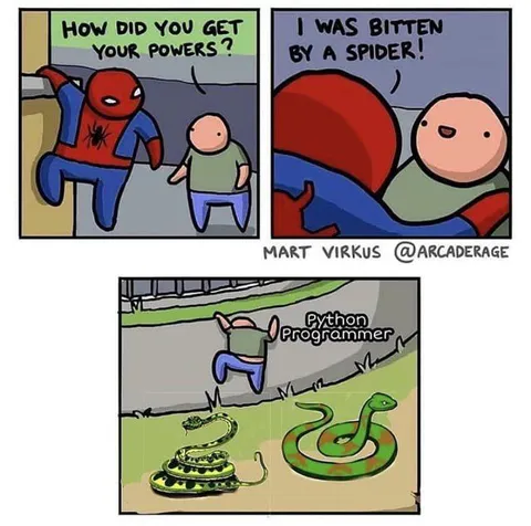 Python Programmer Bitten by a Spider