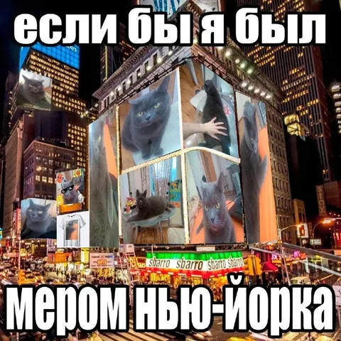Если бы я был мэром Нью-Йорка