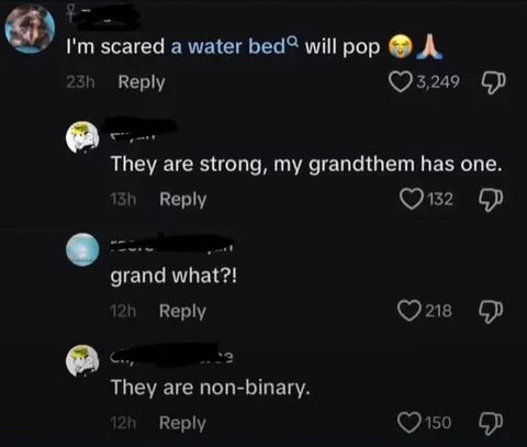 Water Bed Grandmother Misunderstanding