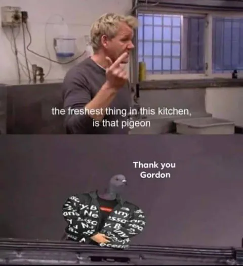 The Freshest Thing Is That Pigeon