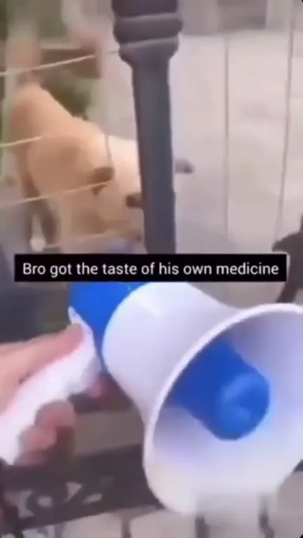 Dog Gets a Taste of Its Own Medicine