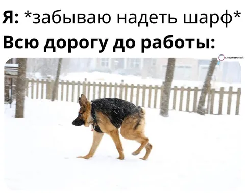 Забываю надеть шарф зимой
