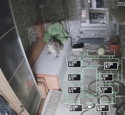 Cat Caught on Every Camera