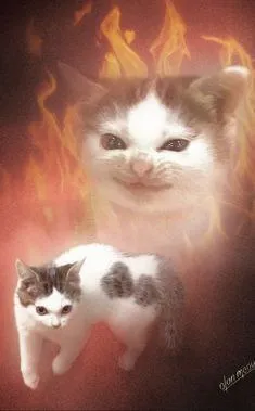 Котёнок в огненном сиянии