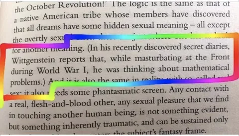Wittgenstein and Sexual Meaning