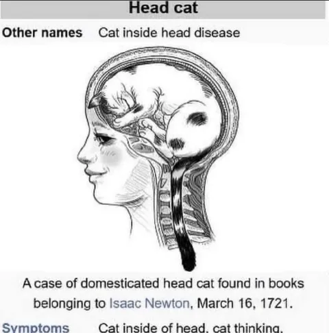 Cat Inside the Head Disease