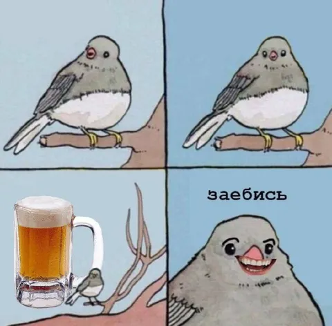 Птичка с пивом — заебись