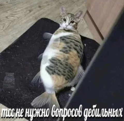 Мне не нужно вопросов дебильных