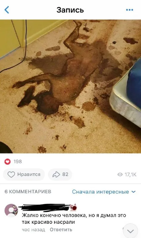 Красиво насрали на ковёр