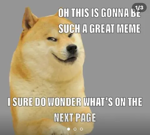 Doge Wants the Next Page