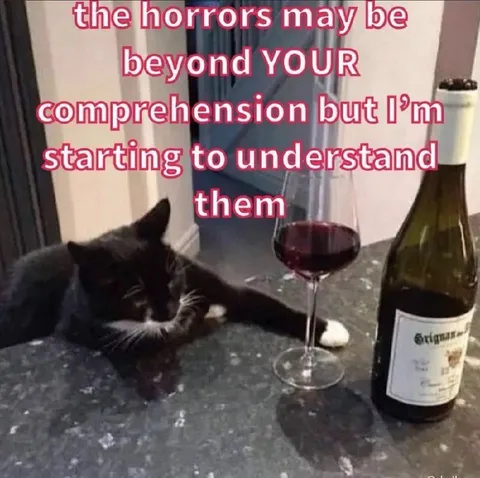 Cat Starting to Understand the Horrors