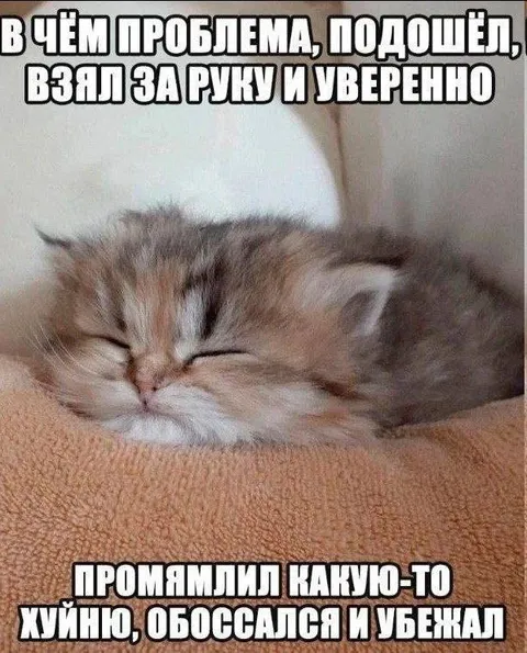 Уверенно взял кота за руку