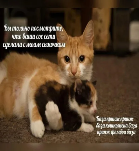 Что соцсети сделали с сыночком