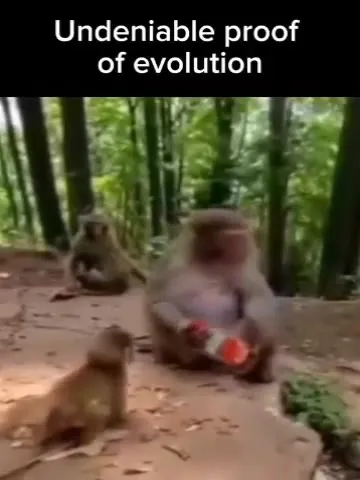 Undeniable Proof of Evolution